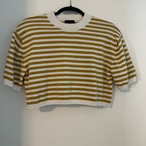 Chic Striped Mustard and White Crop Top
